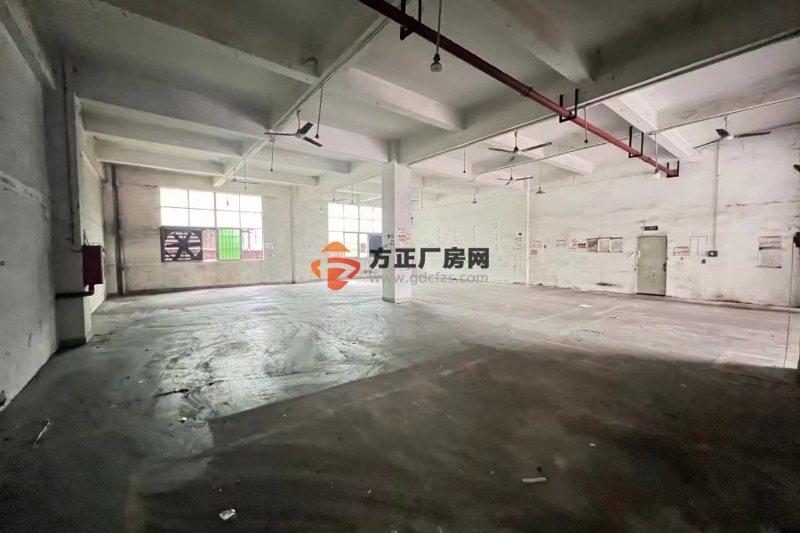 龙华大浪罗屋围新出一楼 460 平米适合各种行业