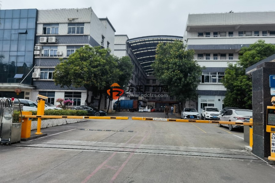 广州黄埔独门独院标准厂房出租  可分租