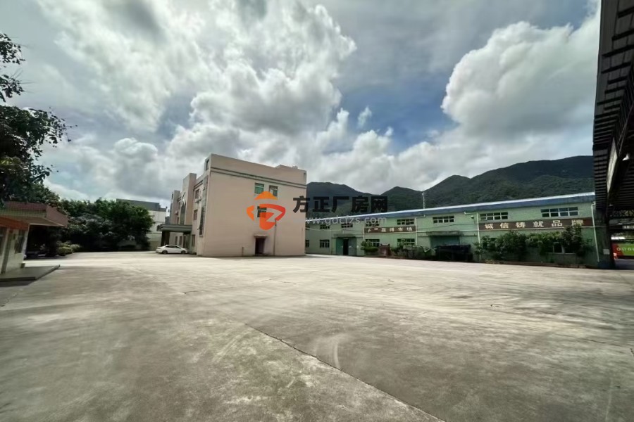 深圳坪山新区新出单一层钢结构厂房23000方出租