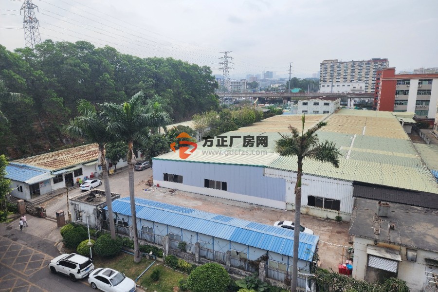深圳龙华清湖新出单一层厂房7765方出租可以分租