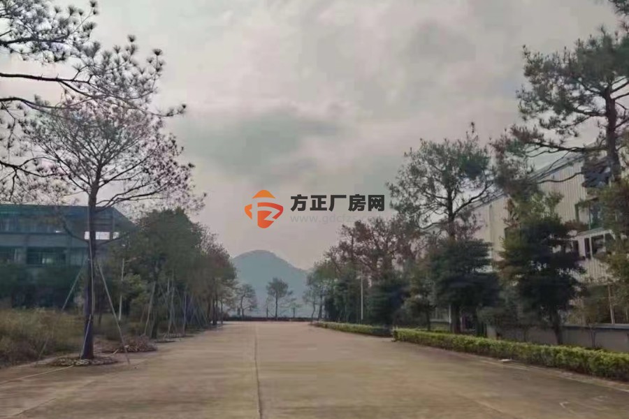 肇庆新出带行车钢结构单一层厂房50000方出租