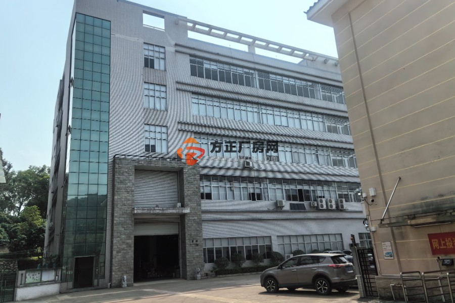 黄江原房东厂房 17000 平方独门独院豪华办公室装修