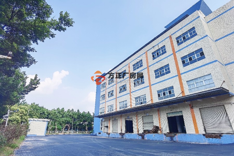 黄埔区云浦工业区厂房出租