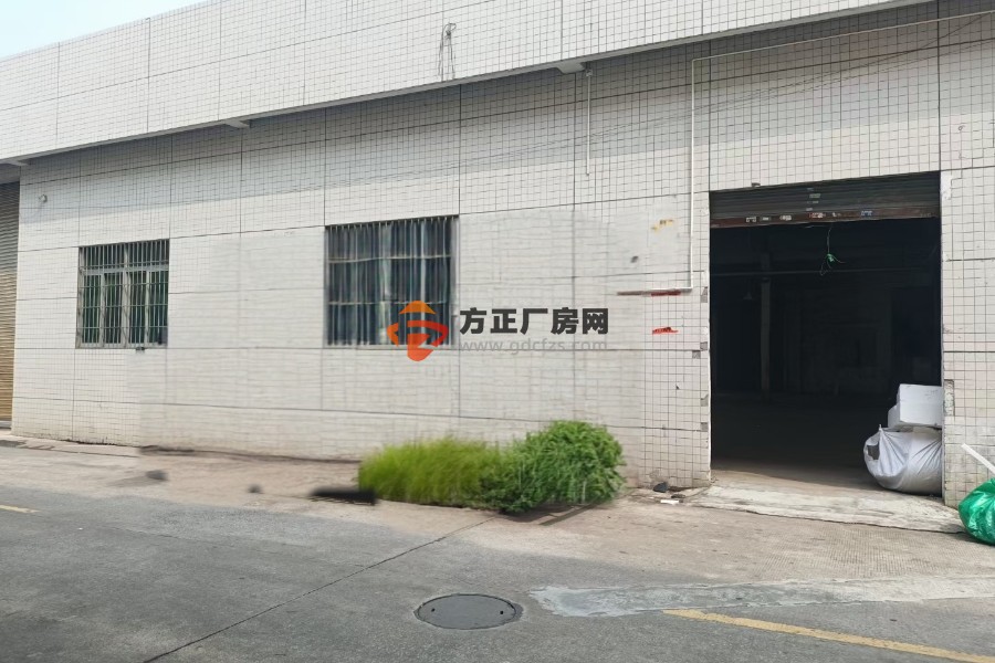 顺德乐从新出靠高速口单一层钢结构3000方出租