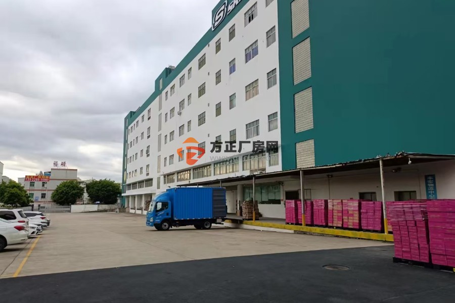 东莞凤岗新出标准丙二类物流厂房一楼2850方出租