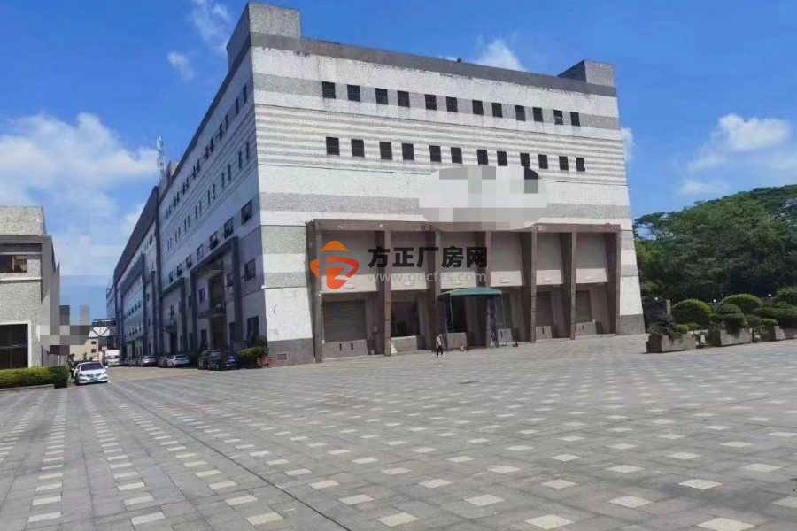 清溪三中二楼2600平方带卸货平台出租