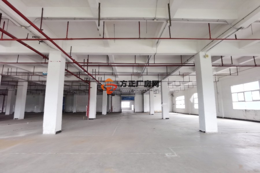 黄埔云浦工业区厂房一楼出租