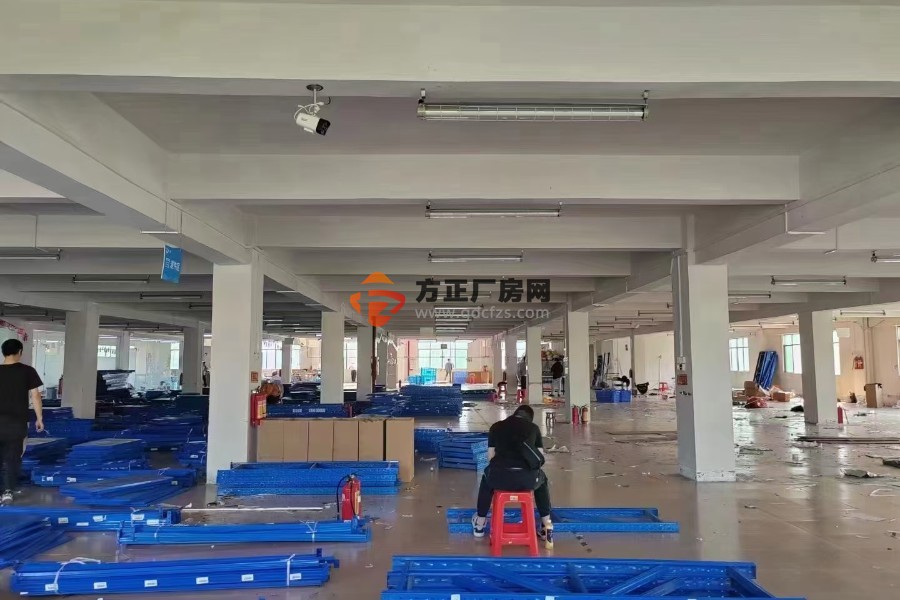 新塘牛仔城电商仓库出租