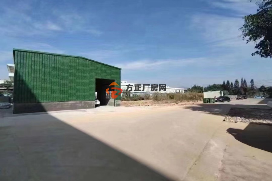 清溪新出小面积独栋钢构厂房出租
