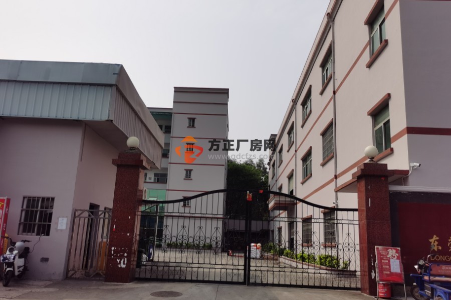 东莞石排经典小独院