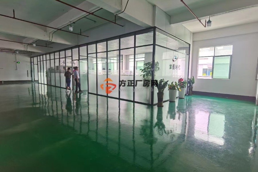 清溪土桥新出楼上精装修厂房出租