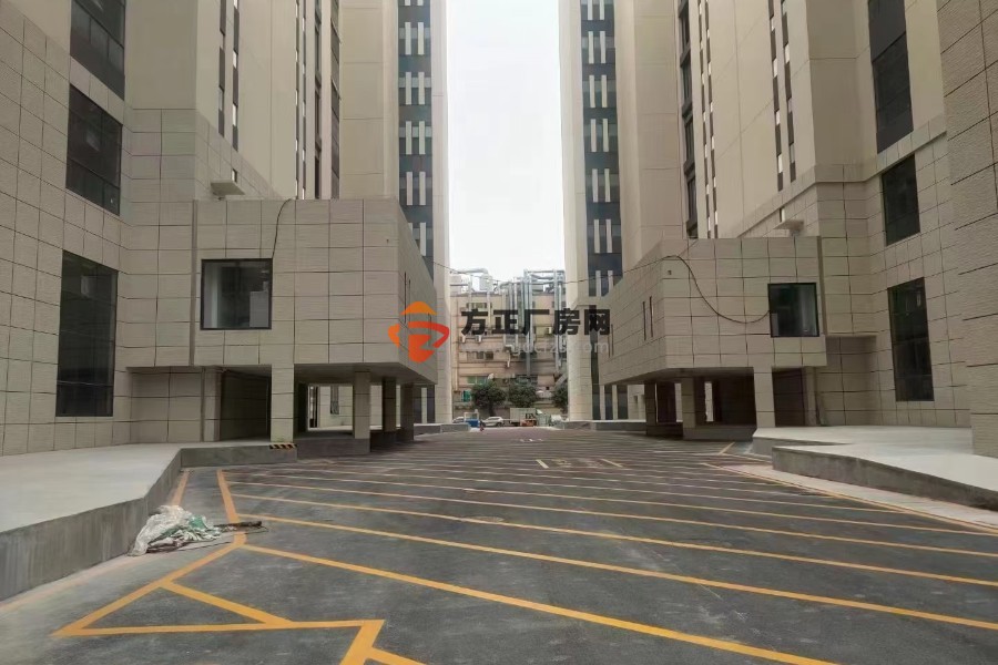（出售）东莞塘厦现楼红本，单套1500/1800平，整层3000/3600平，1楼8米高，楼上6米