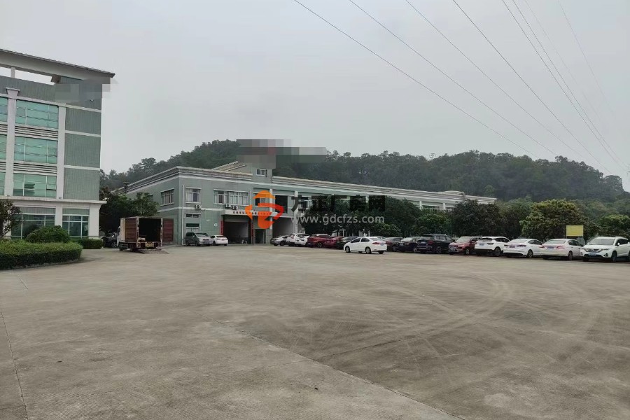 桥头花园式标准厂房 2800 平方交通方便价格好谈