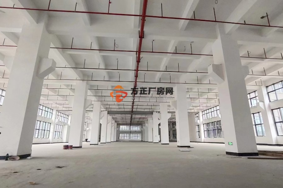 黄埔云浦工业区厂房一楼5600平方出租