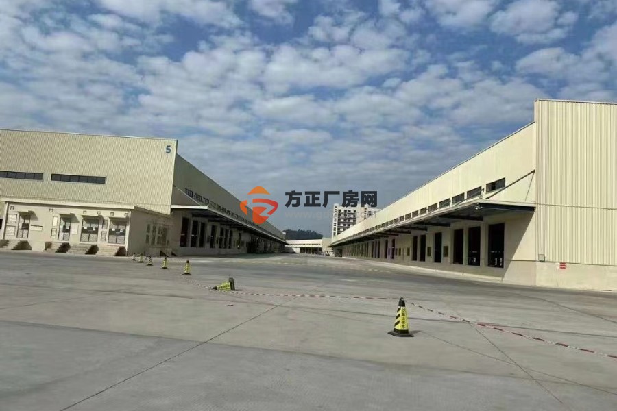 东莞新建标准物流园新空出 65000 平方实际面积