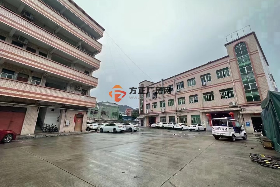 清溪镇中心新出原房东独院实际面积厂房出租