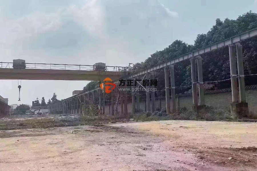 江门市新出滴水15米高钢结构厂房16000方出租