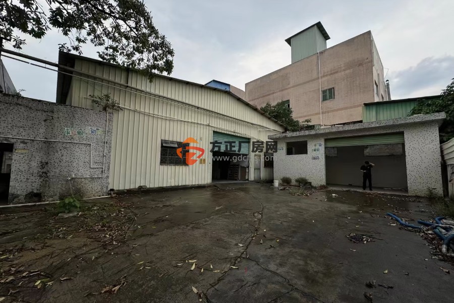 清溪新出小独院钢构厂房出租