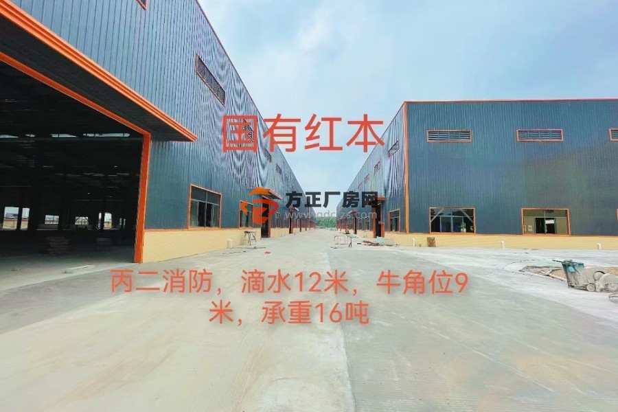 佛山高明工业区新建单一层钢结构带牛角厂房3万方出租