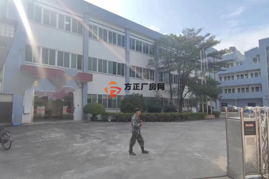 企石新出标准厂房四层 5200 平方宿舍按需一楼 6 米高