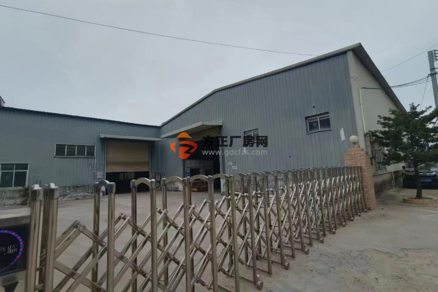 企石单一层小独院 3500 平方租金 13 元独门独院