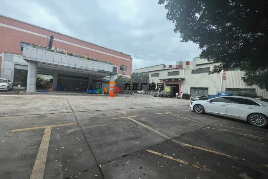 塘厦大坪原房东工业园 单一层钢构厂房4680平方 ​