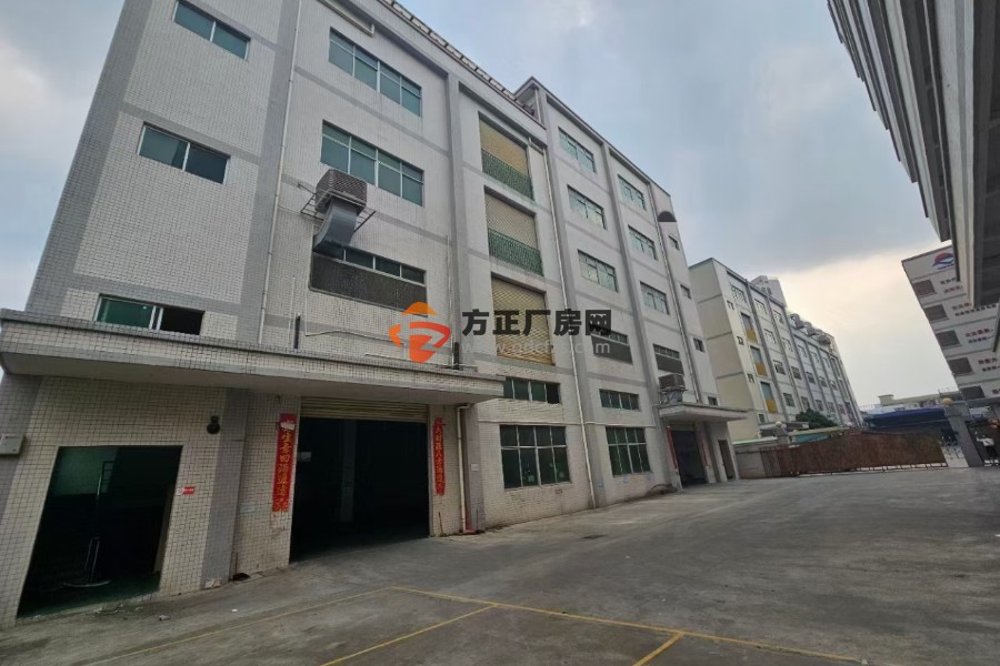 大朗镇犀牛陂独院原房东厂房四层半5500平，