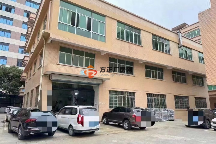 常平新出标准2层独栋厂房总面积1680平方