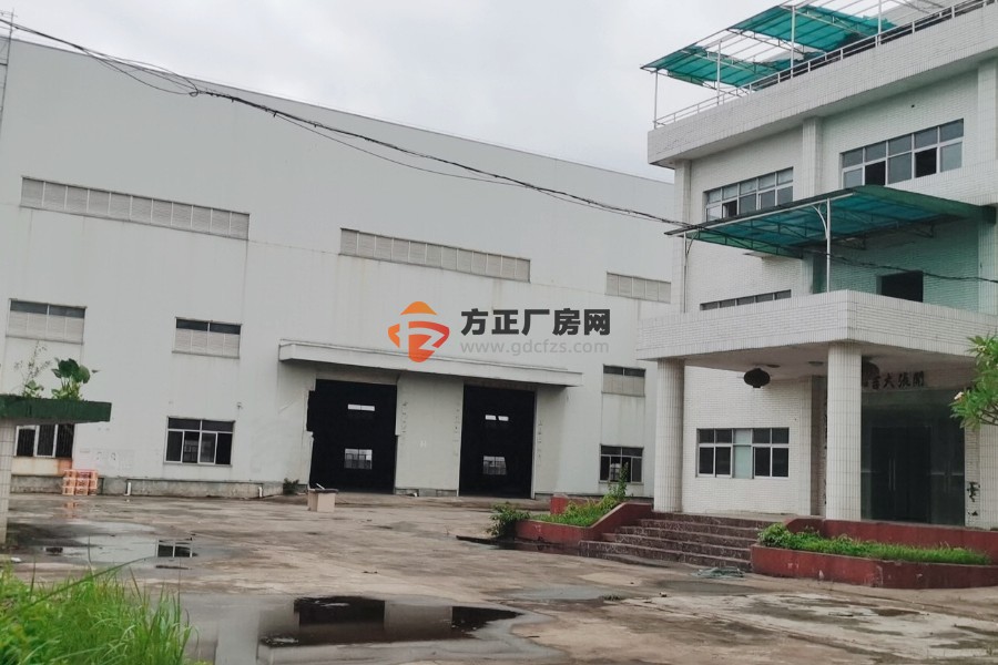 清溪大利新出18米高钢构独院，可以分租