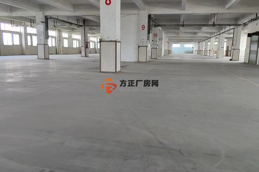 黄埔东区开发区新出3200方原房东标准厂房出租，可以分租