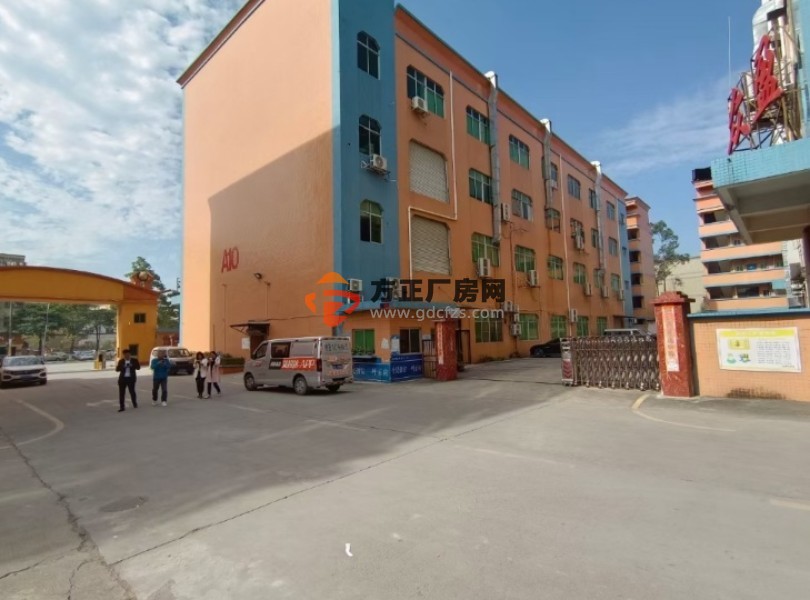 清溪罗马高速路口新出原房东独院厂房出租