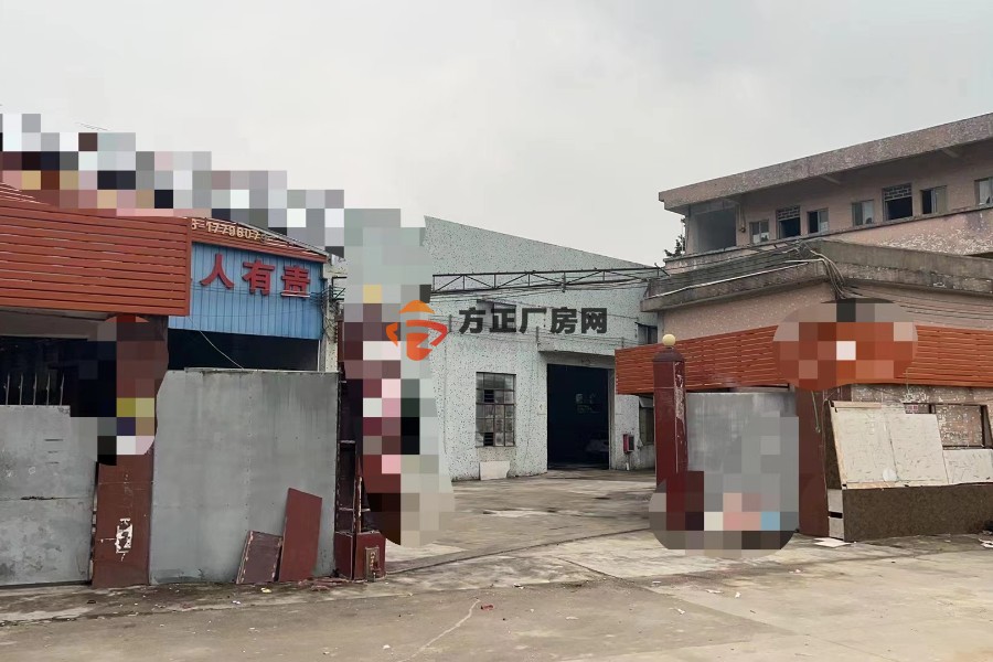 佛山里水工业区钢结构独门独院厂房4458㎡出租