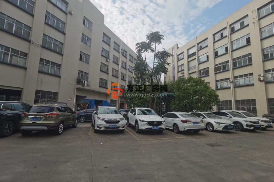 大岭山杨屋工业区新出3楼1200平方 ​精装修水电齐全
