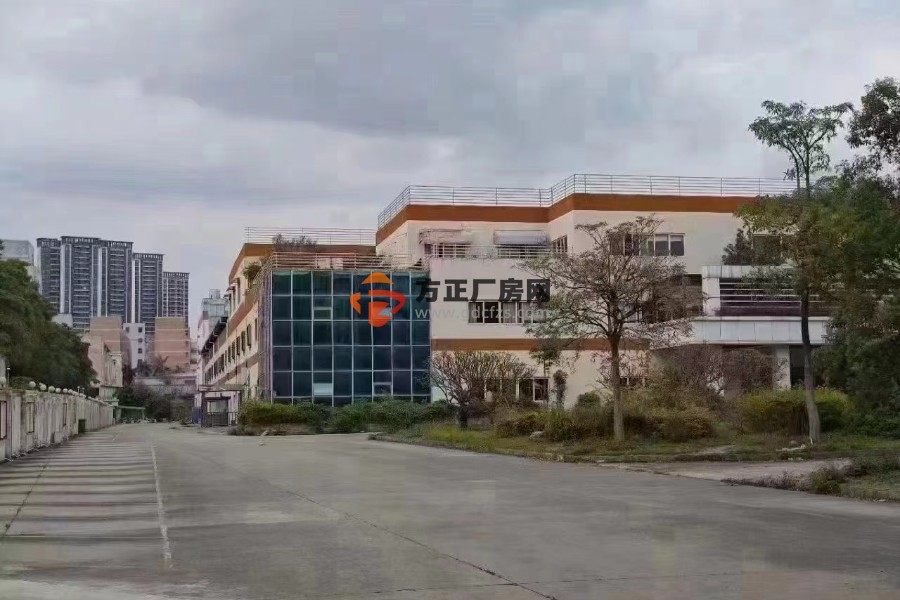 清溪大利新出一楼实际面积出租