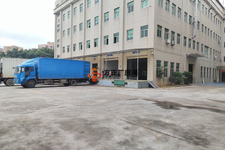 清溪大利主干道边新出一楼带卸货平台厂房出租