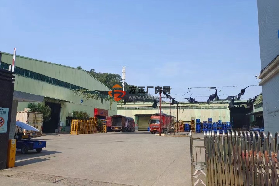 东莞大朗新出原房东厂房实际面积15000方出租可以分