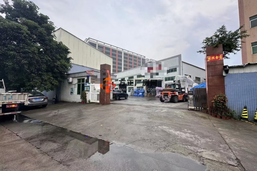 横沥镇独门独院单一层厂房出租 滴水10米带现成6部航车