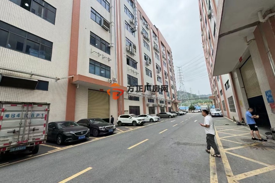 大岭山杨屋工业区一楼1300平高度6.5米现成的办公室