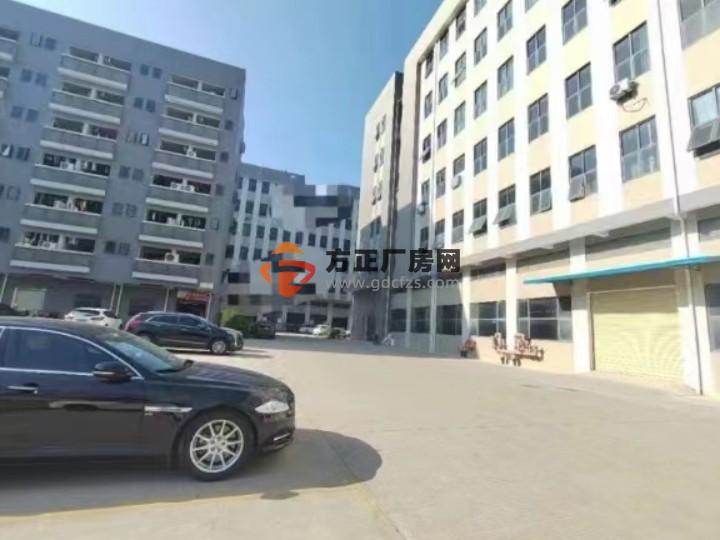 清溪高速路口新出精装修厂房出租