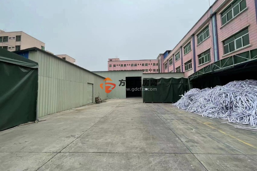 石排镇原房东独院标准厂房➕钢构独院