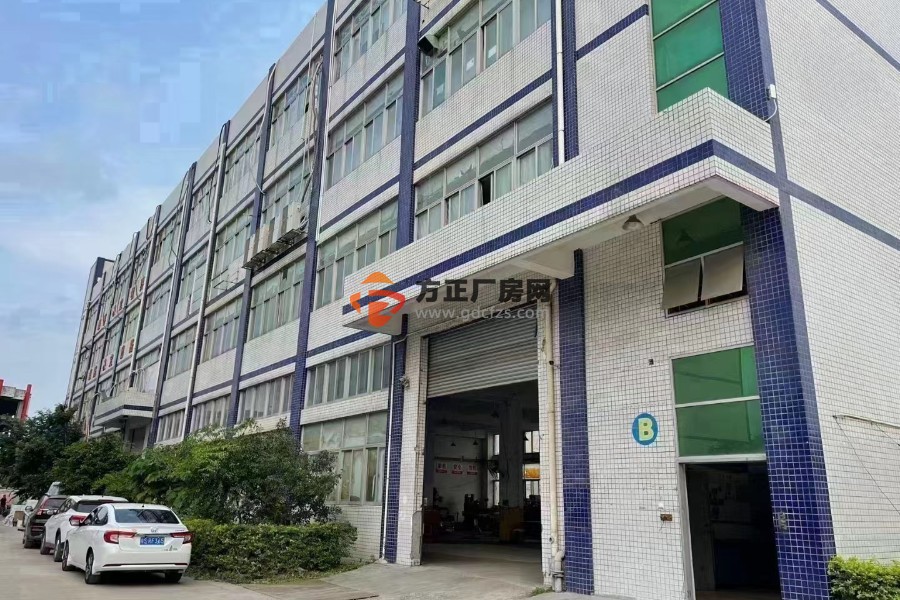 东莞塘厦红本厂房出售