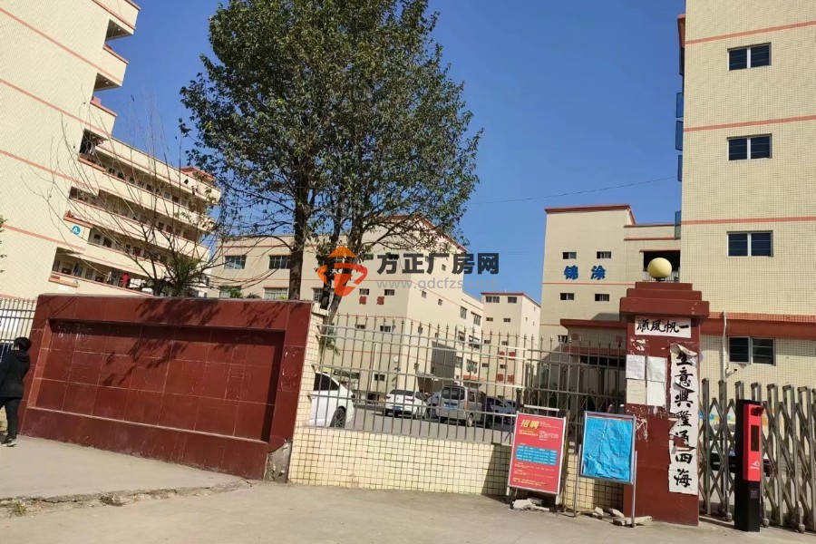 东莞桥头集体证厂房出售