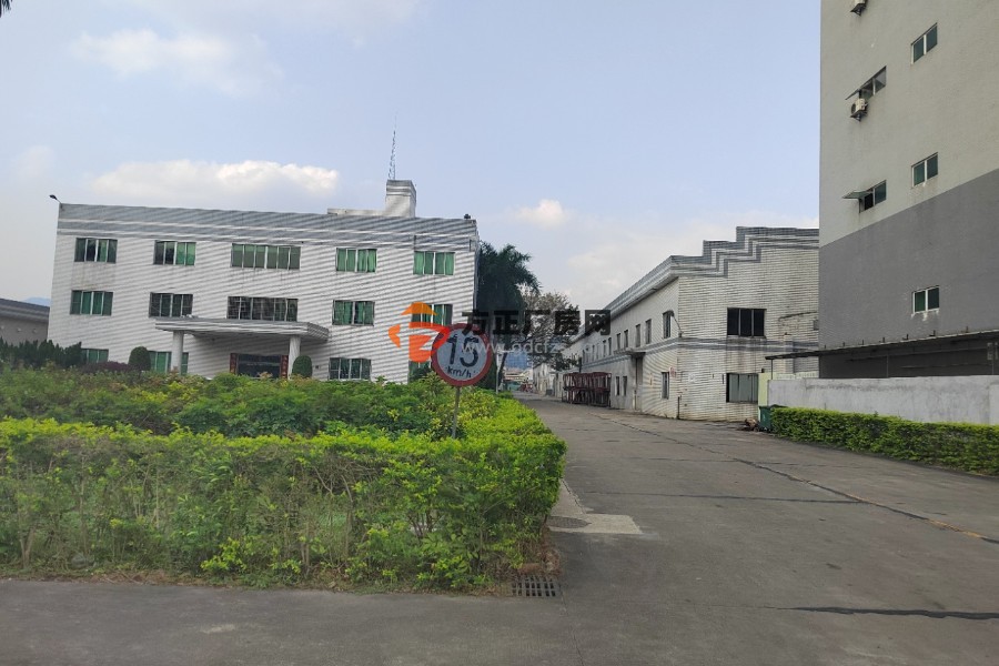 清溪新出独栋钢构厂房滴水10米