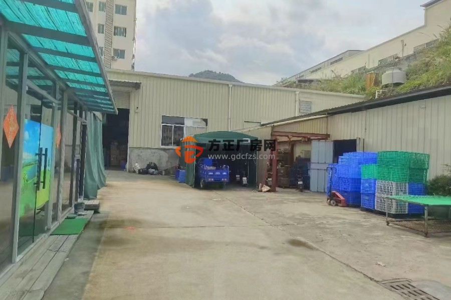清溪三中新出原房东独院厂房出租