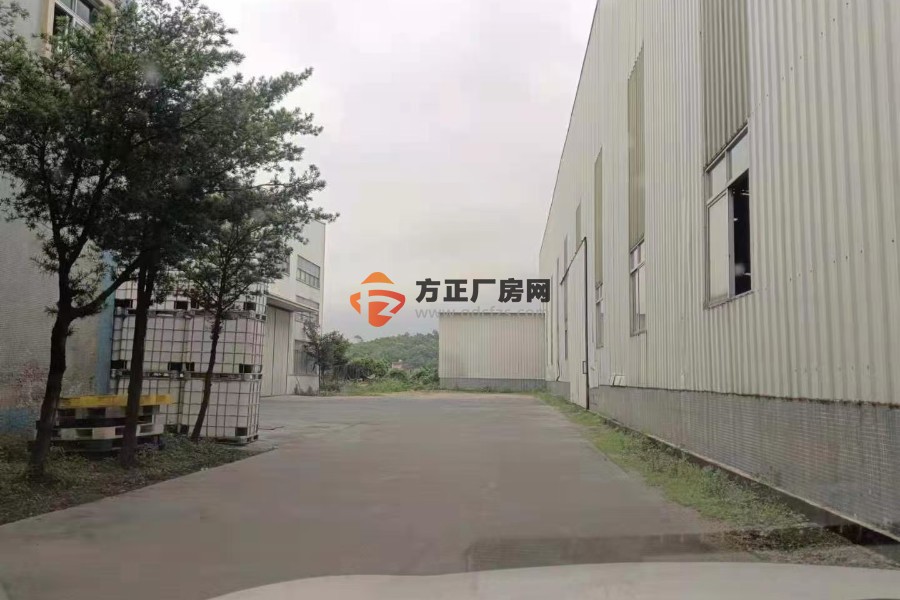 鹤山市沙坪镇新出独门独院厂房总面积:8000平方厂房两栋滴水12米