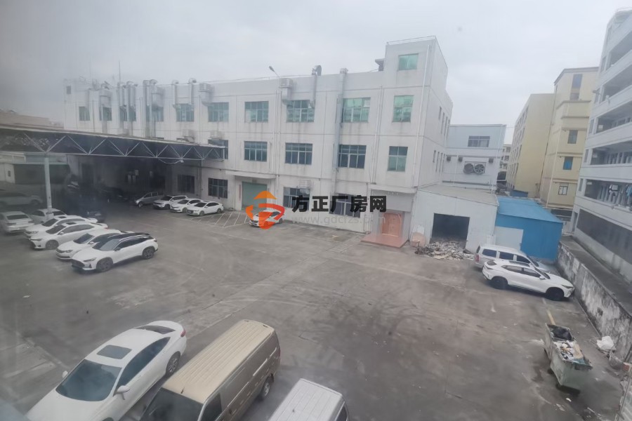 清溪三中新出一楼带牛角厂房出租