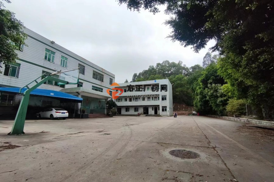 观澜大和独院钢构出租一共有四栋每栋都可以独立出租