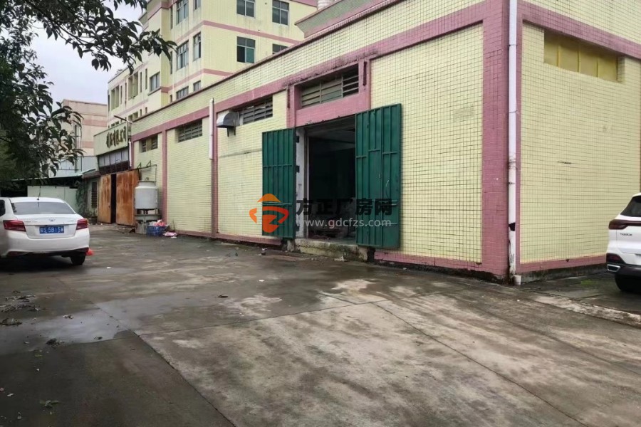 清溪铁松新出原房东小独院单一层厂房出租