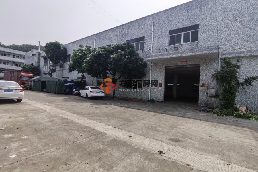 清溪谢坑高速路口新出独栋厂房出租