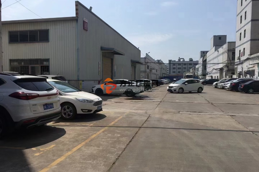 清溪三中新出独栋钢构厂房出租
